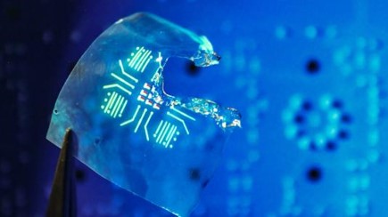 Reducing electronic waste with biodegradable luminescent polymers